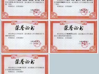 raybet官网学生在第二届安徽省大学生物流设计大赛中取得佳绩