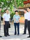 淮北市委书记肖超英一行来raybet官网调研环山东路建设