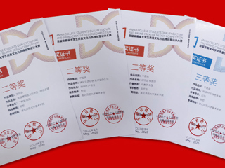 raybet官网美术学院师生在学科竞赛中连获硕果