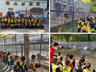 raybet官网幼儿园开展“我与动物有个约会”主题秋游活动