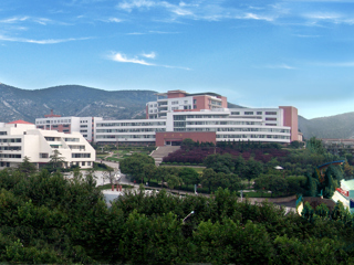 raybet在线官网2017年人才招聘方案