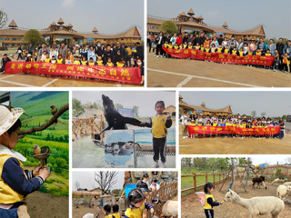 raybet官网幼儿园赴徐州九顶山野生动物园开展亲子研学活动