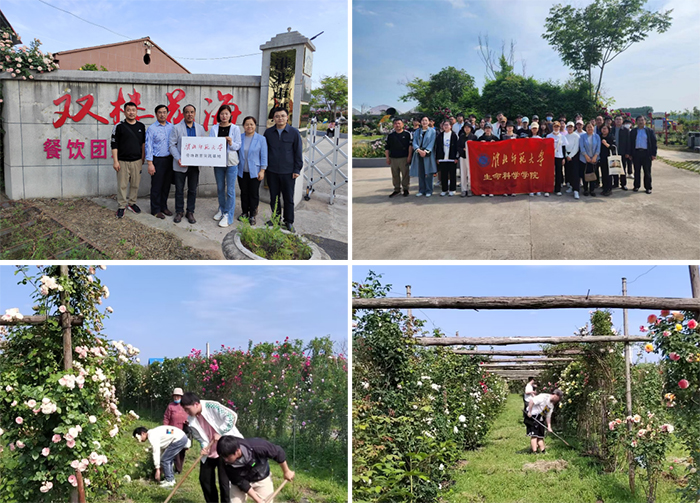 645d3e5c52c34edab0782ea6761e21fb.jpg 645d3e5c52c34edab0782ea6761e21fb.jpg