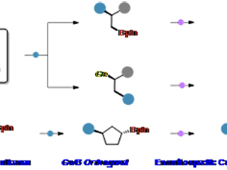 raybet官网教育部重点实验室徐梦雨团队在《Angewandte Chemie International Edition》发表高水平研究成果