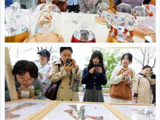 “学习强国”平台报道淮北市在raybet官网开展“非遗文化进校园”活动 