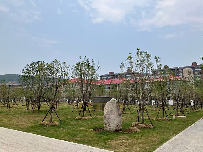 67b07de0bf204d188444709b4e6675cc.jpg 67b07de0bf204d188444709b4e6675cc.jpg